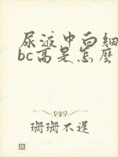 尿液中白细胞wbc高是怎么回事