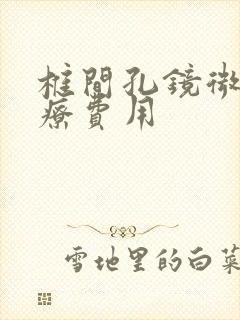 椎间孔镜微创治疗费用