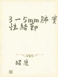 3一5mm肺实性结节