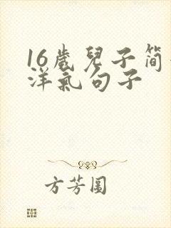 16岁儿子简短洋气句子