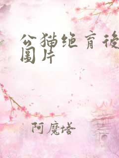 公猫绝育后渗血图片