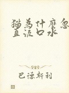 猫为什么忽然一直流口水