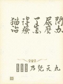 猫得了尿闭没钱治疗怎么办