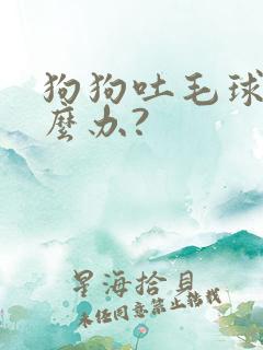 狗狗吐毛球该怎么办?