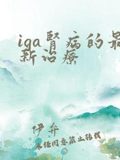 iga肾病的最新治疗