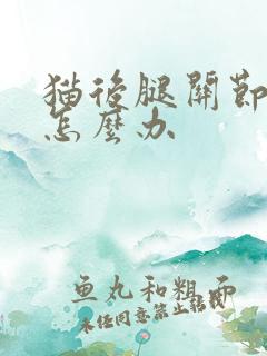 猫后腿关节错位怎么办