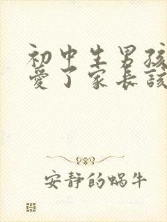 初中生男孩谈恋爱了家长该怎么办