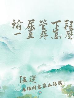 输尿管下段结石一直疼怎么办