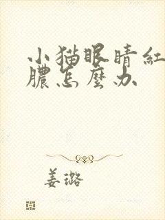 小猫眼睛红肿化脓怎么办