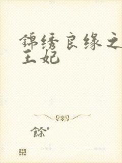 锦绣良缘之北地王妃