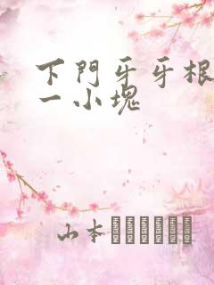 下门牙牙根掉了一小块