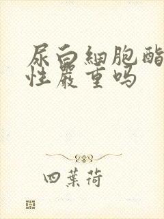 尿白细胞酯酶阳性严重吗