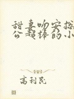 甜妻吻安总裁老公超棒的小说全集