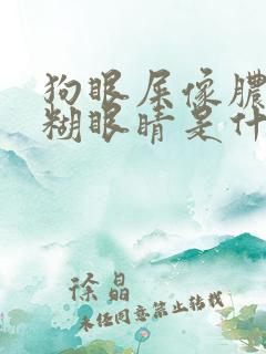 狗眼屎像脓一样糊眼睛是什么原因