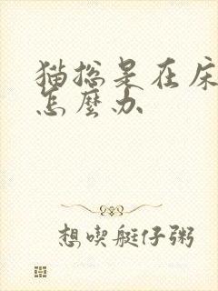 猫总是在床上尿怎么办