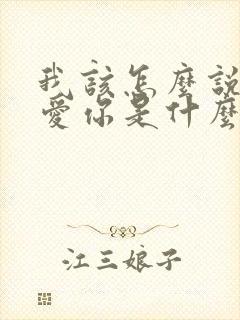 我该怎么说我不爱你是什么歌