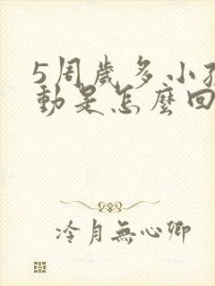 5周岁多小孩好动是怎么回事