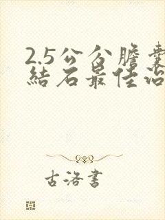 2.5公分胆囊结石最佳治疗方法