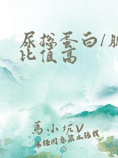 尿总蛋白/肌酐比值高