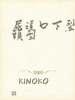 尿道口下裂 龟头型