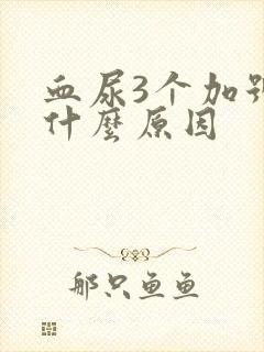 血尿3个加号是什么原因