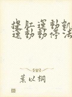 提肛运动凯格尔运动动停法