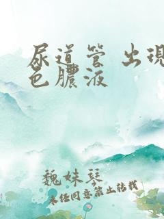 尿道管 出现白色脓液