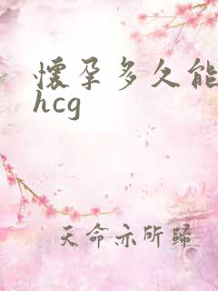 怀孕多久能检查hcg