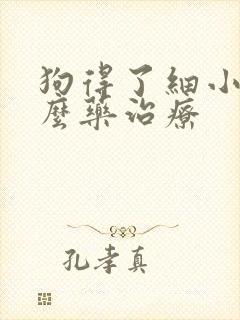 狗得了细小吃什么药治疗