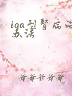 iga型肾病治办法