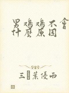 男鸡鸡不会硬是什么原因