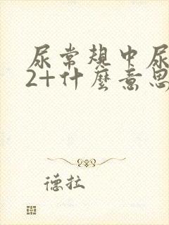 尿常规中尿蛋白2+什么意思