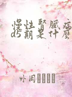 慢性肾脏病ckd5期是什么意思