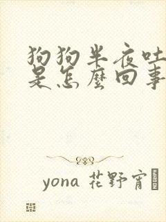 狗狗半夜吐黄水是怎么回事