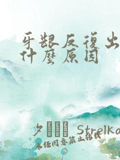 牙龈反复出血是什么原因