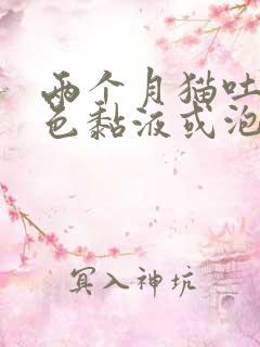 两个月猫吐了白色黏液或泡沫