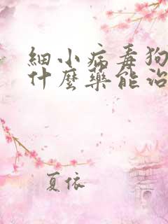 细小病毒狗狗吃什么药能治疗