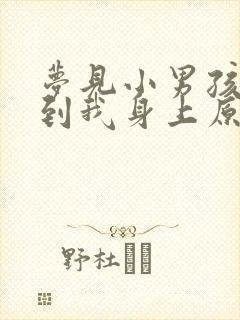 梦见小男孩撒尿到我身上原版周公解梦