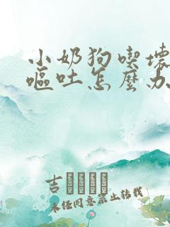 小奶狗吃坏肚子呕吐怎么办