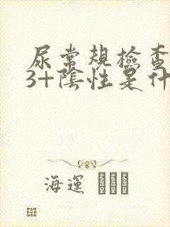 尿常规检查隐血3+阴性是什么意思