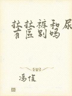 拉拉裤和尿不湿有区别吗