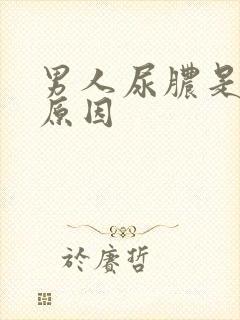 男人尿脓是什么原因