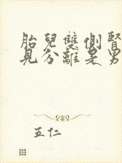 胎儿双侧肾盂未见分离是男是女