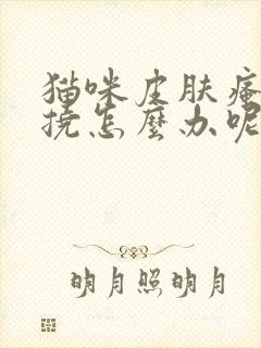 猫咪皮肤瘙痒总挠怎么办呢