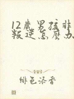 12岁男孩非常叛逆怎么办