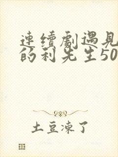 连续剧遇见爱情的利先生50集