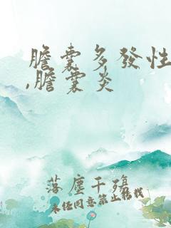 胆囊多发性结石,胆囊炎