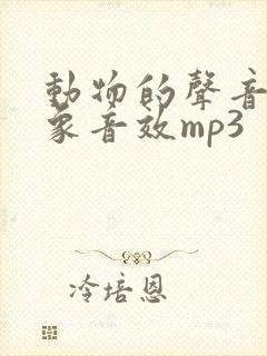 动物的声音 大象音效mp3