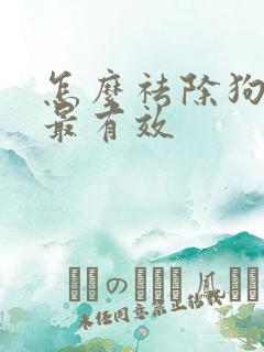 怎么祛除狗尿味最有效