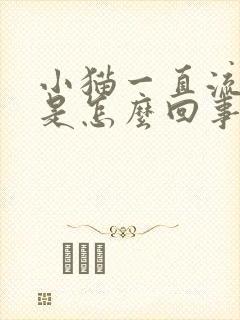 小猫一直流口水是怎么回事